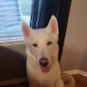 Meet your Posher, Wesley